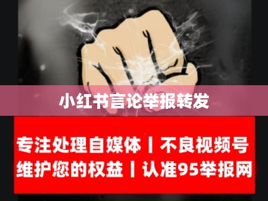 小红书言论举报转发