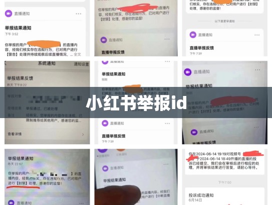 小红书举报id