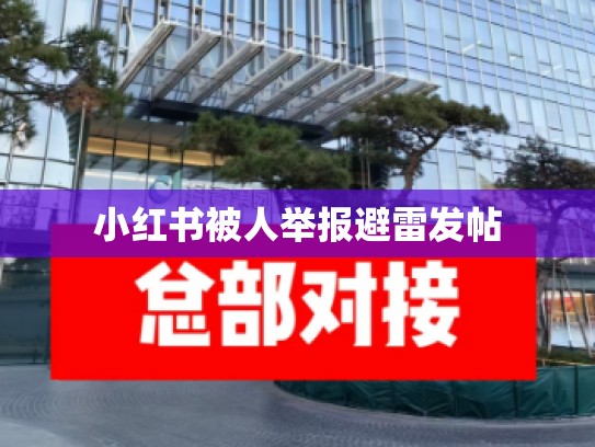 小红书被人举报避雷发帖