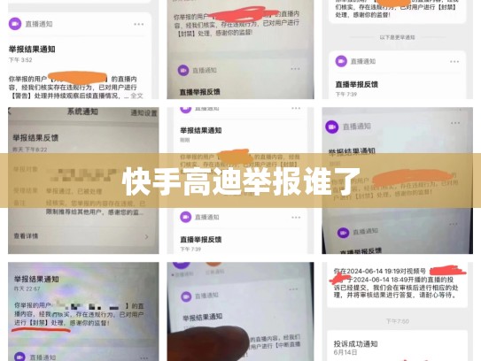 快手高迪举报谁了