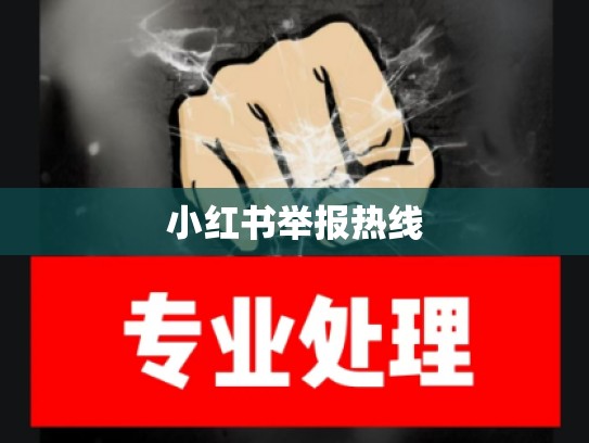 小红书举报热线