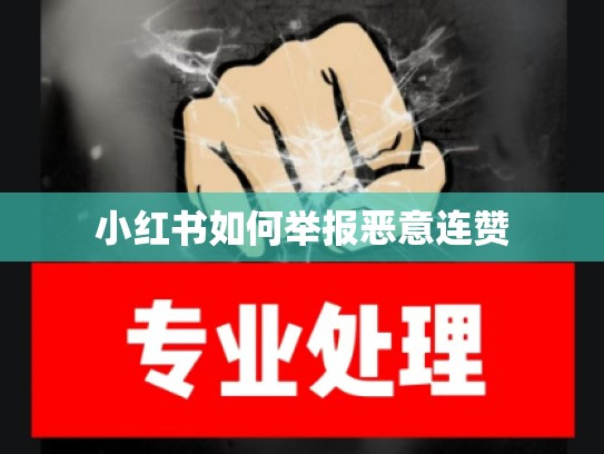小红书如何举报恶意连赞