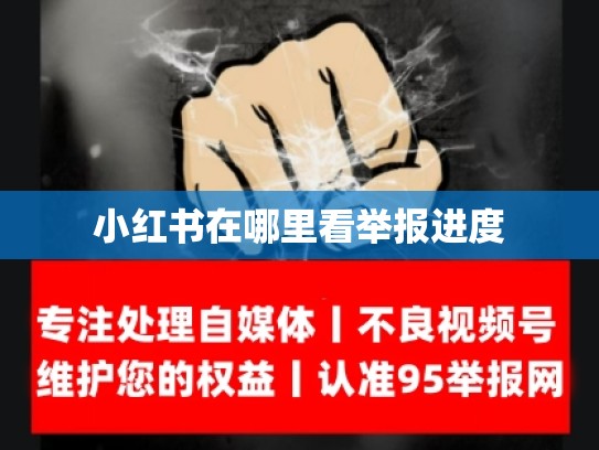 小红书在哪里看举报进度