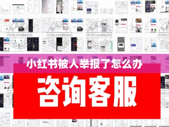 小红书被人举报了怎么办