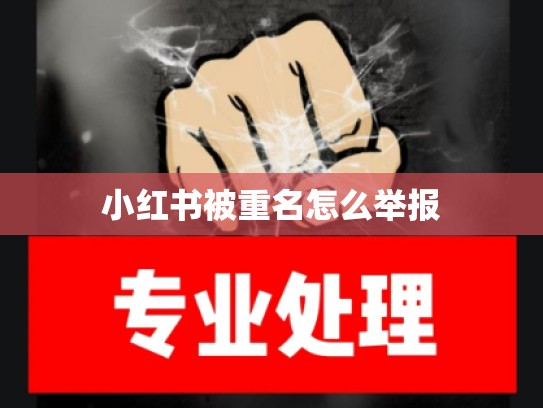 小红书被重名怎么举报