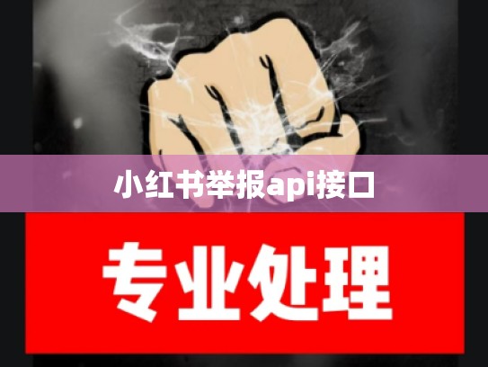 小红书举报api接口