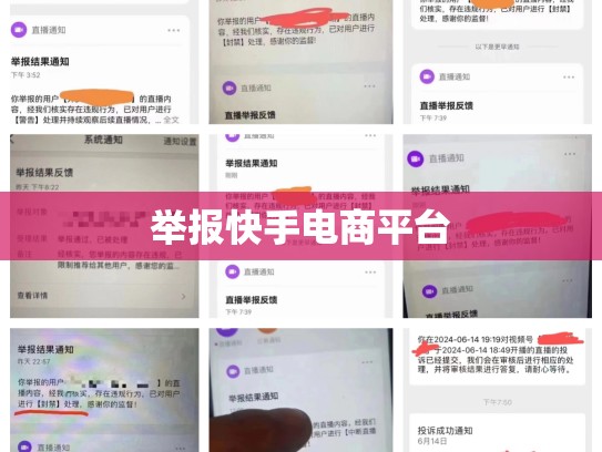 举报快手电商平台