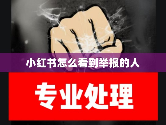 小红书怎么看到举报的人