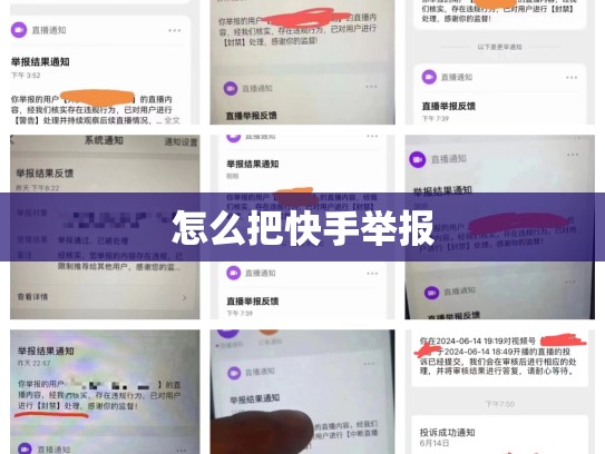 怎么把快手举报