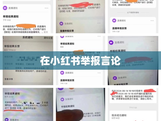 在小红书举报言论