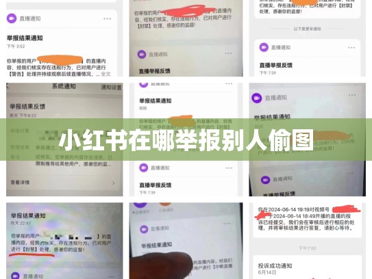 小红书在哪举报别人偷图