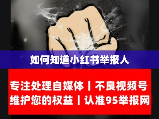 如何知道小红书举报人
