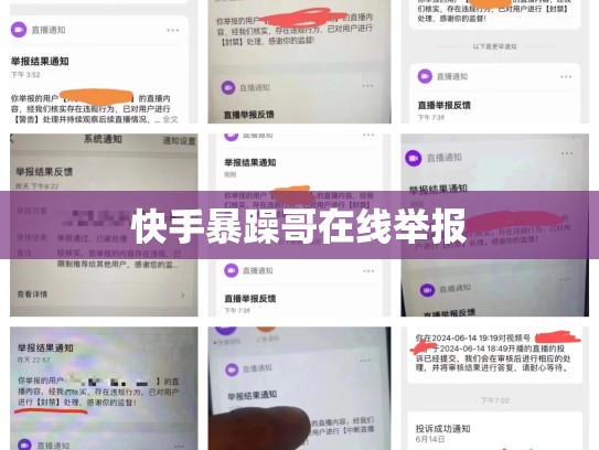 快手暴躁哥在线举报