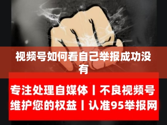 视频号如何看自己举报成功没有