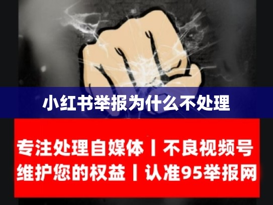 小红书举报为什么不处理