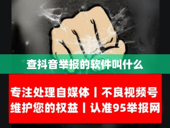 查抖音举报的软件叫什么