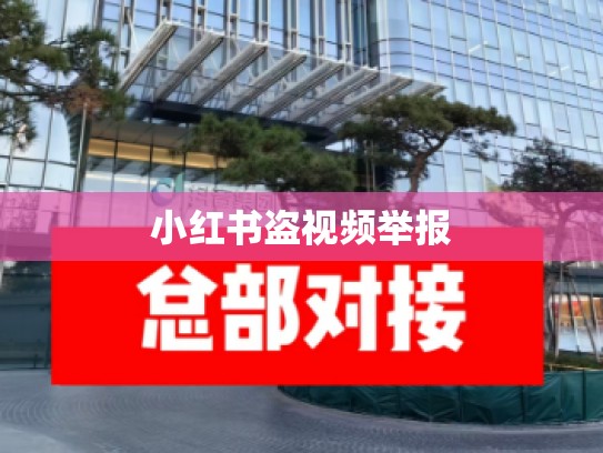 小红书盗视频举报