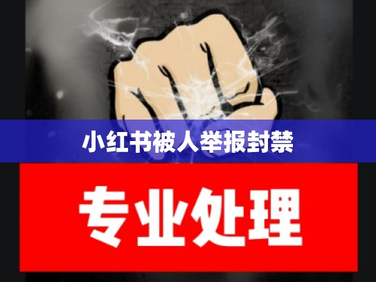 小红书被人举报封禁