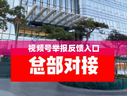 视频号举报反馈入口