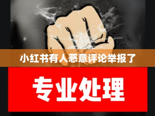 小红书有人恶意评论举报了
