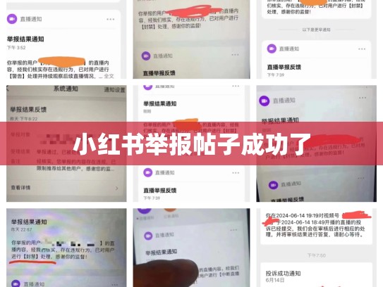 小红书举报帖子成功了