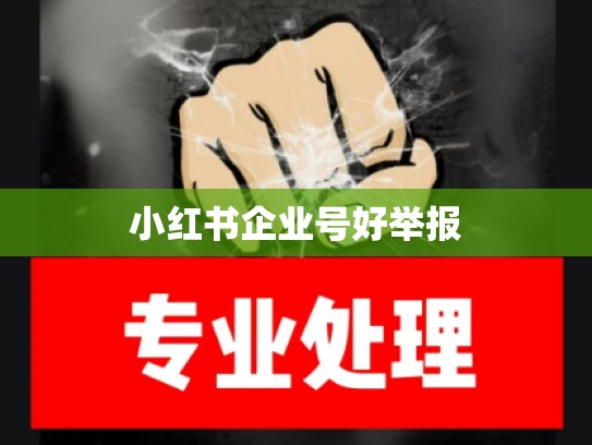 小红书企业号好举报