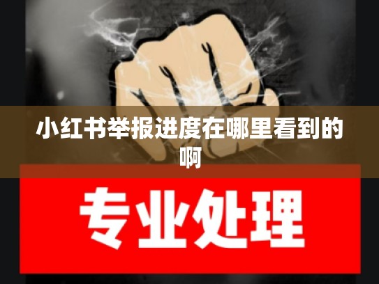 小红书举报进度在哪里看到的啊