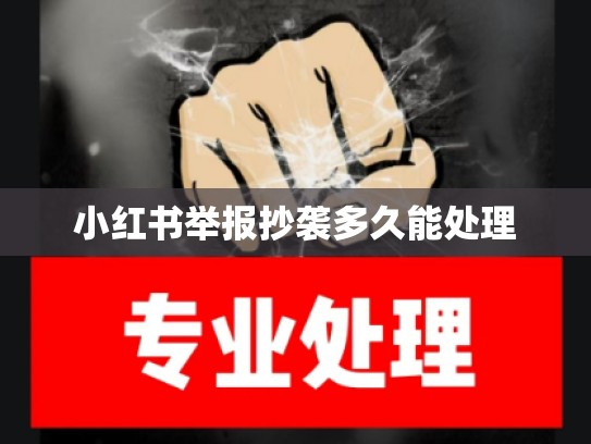 小红书举报抄袭多久能处理