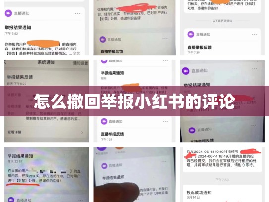 怎么撤回举报小红书的评论