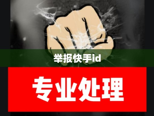 举报快手id