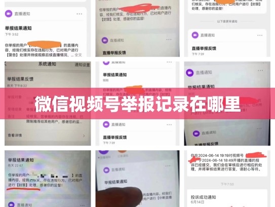 微信视频号举报记录在哪里