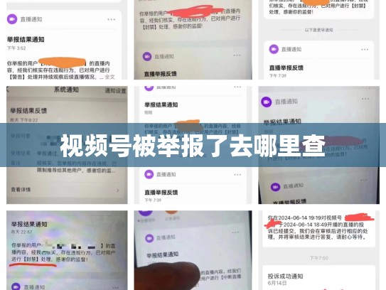 视频号被举报了去哪里查
