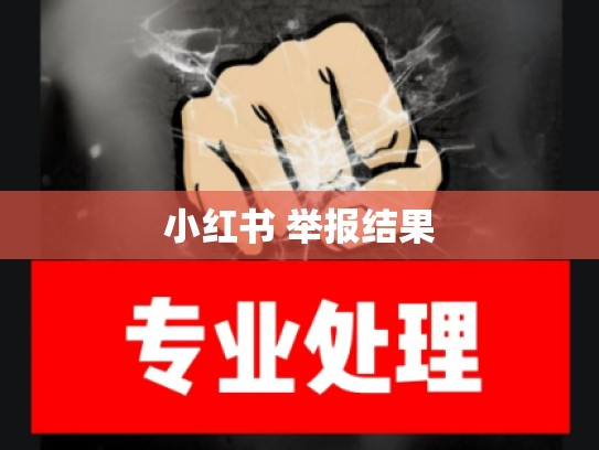 小红书 举报结果