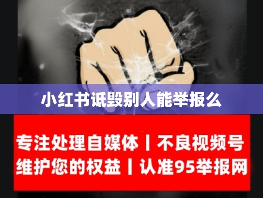 小红书诋毁别人能举报么