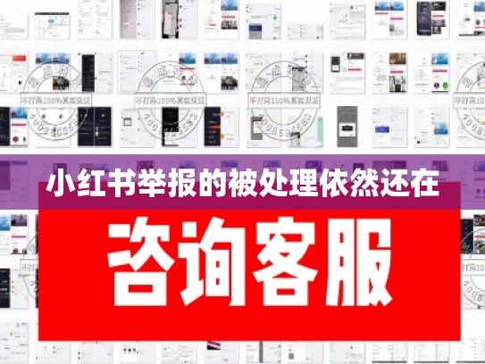 小红书举报的被处理依然还在