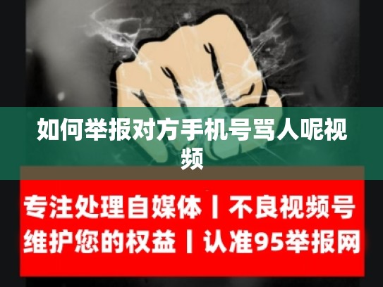 如何举报对方手机号骂人呢视频
