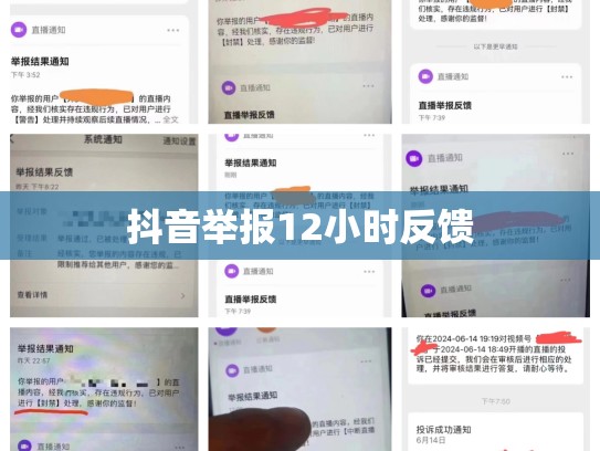 抖音举报12小时反馈