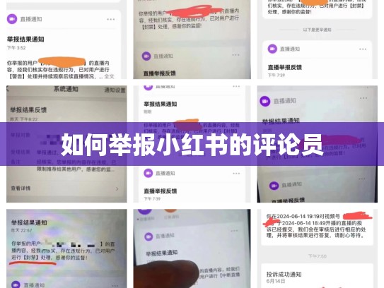 如何举报小红书的评论员