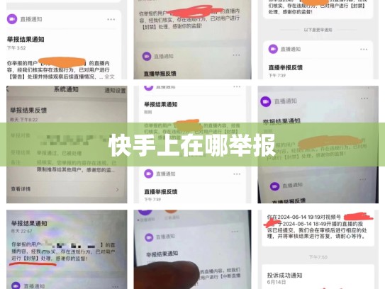 快手上在哪举报