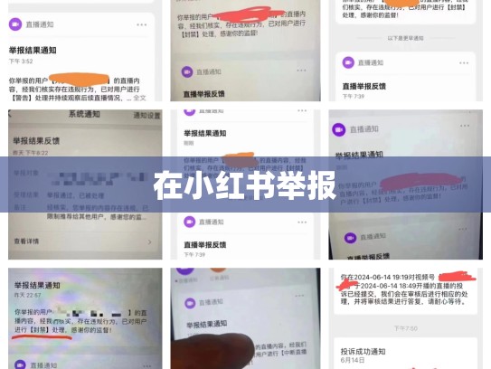 在小红书举报
