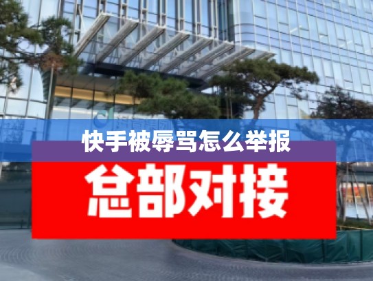 快手被辱骂怎么举报