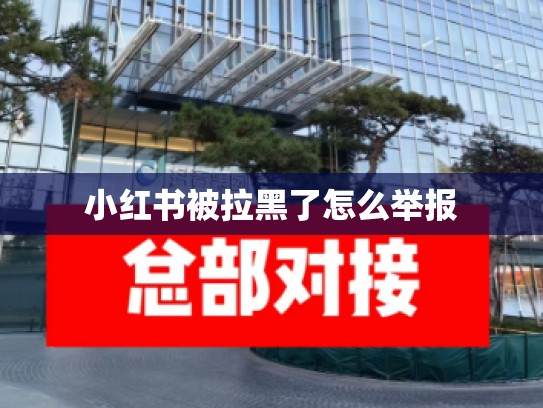 小红书被拉黑了怎么举报