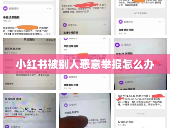 小红书被别人恶意举报怎么办