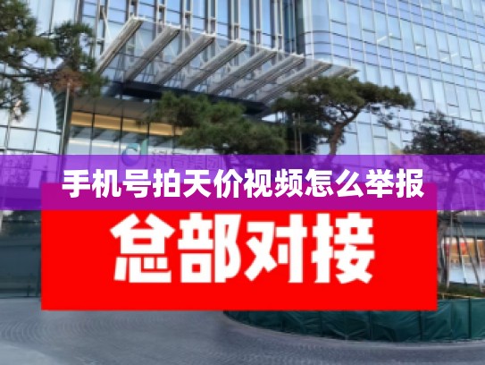 手机号拍天价视频怎么举报