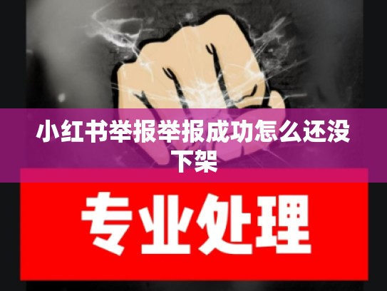小红书举报举报成功怎么还没下架