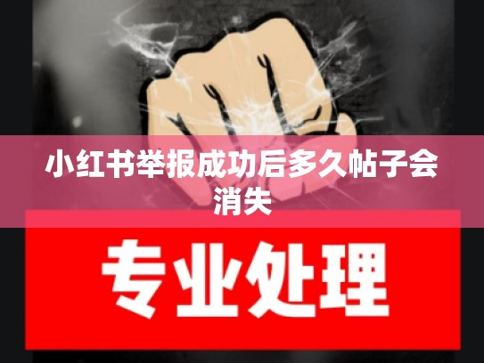 小红书举报成功后多久帖子会消失