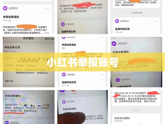 小红书举报账号