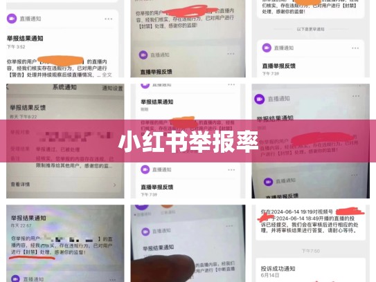 小红书举报率
