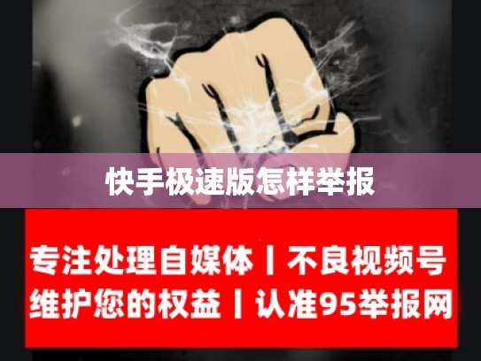 快手极速版怎样举报