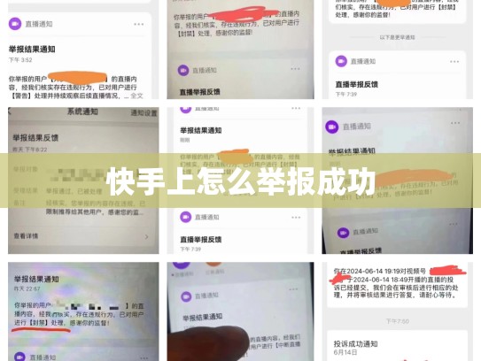 快手上怎么举报成功